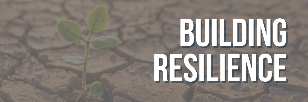 Building Resilience Banner with image of lone green plant growing in drought-stricken soil